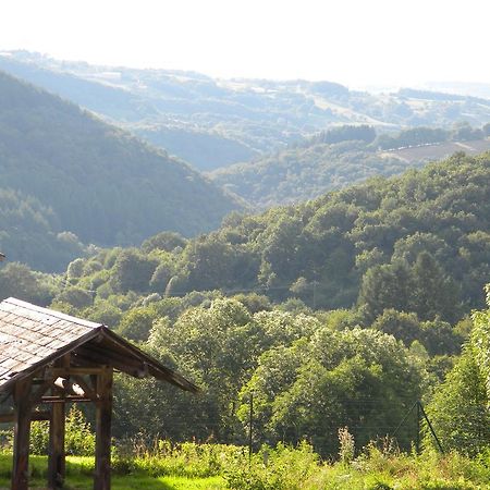 兰迪耶度假屋 Ferrières-sur-Sichon 外观 照片