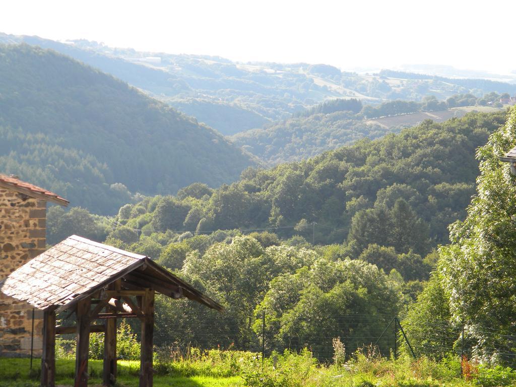 兰迪耶度假屋 Ferrières-sur-Sichon 外观 照片